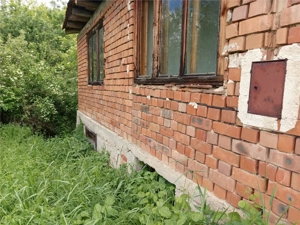 Borlovenii Noi, Teren Drept, 16000mp, la Limita Localitatii - imagine 17