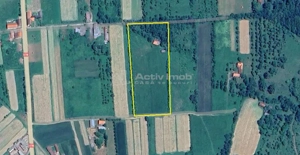 Borlovenii Noi, Teren Drept, 16000mp, la Limita Localitatii - imagine 9