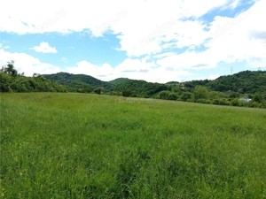 Borlovenii Noi, Teren Drept, 16000mp, la Limita Localitatii - imagine 11