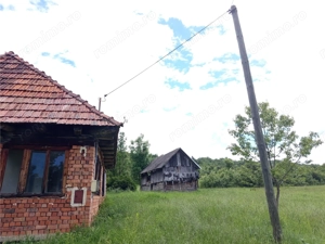 Borlovenii Noi, Teren Drept, 16000mp, la Limita Localitatii - imagine 15