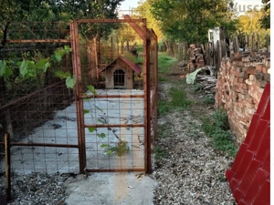  Casa ideală pentru familia ta – Valea Voievozilor, Răzvad - imagine 20