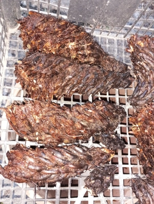 Radacină de navalnic uscată