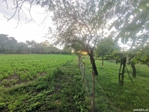 Casă batraneasca Cipaieni, județul Mures - imagine 2