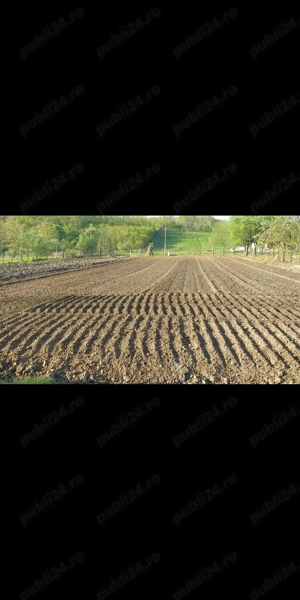 Vând teren intravilan pentru două case cu utilități apă și curent - imagine 3