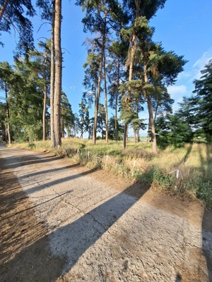 De vanzare teren intravilan pe malul lacului Reci - imagine 4