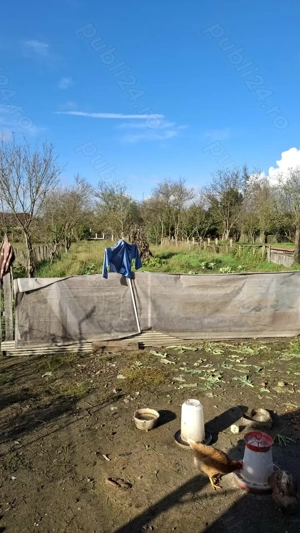 Casa la tara,2 camere,baie bucatarie,anexe. - imagine 7