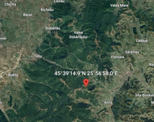 Teren - padure Teliu - Bradet