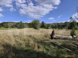 De vanzare casa, zona turistica Vadu Crisului - Bratca, cu teren 5000 mp - imagine 12 De vanzare casa, zona turistica Vadu Crisului - Bratca, cu teren 5000 mp - imagine 12