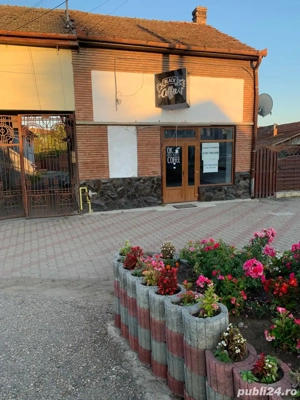 Spatiu comercial de vanzare Ludus Centru