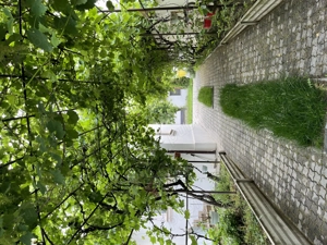 Proprietar vand Casa cu curte superba central Craiova - imagine 13