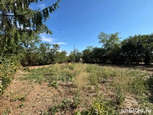 Vand casa 3 camere 100mp cu teren 2200mp, 60km de Bucuresti - imagine 10