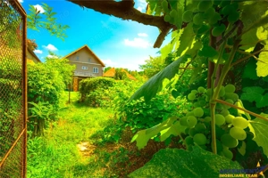 Imobil cu potential, constructie solida cu 2 apartamente,+demisol si garaj, Brasov