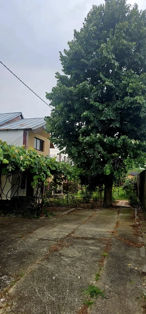 Vând Casă (P+E) și Teren sat Nisipoasa, com Plopu, jud. Prahova - DIRECT PROPRIETAR - imagine 9