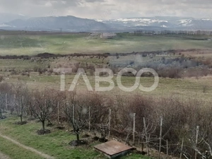 Casa singur in curte cu teren liber 2667 mp 6 camere 4 bai Daia  - imagine 12