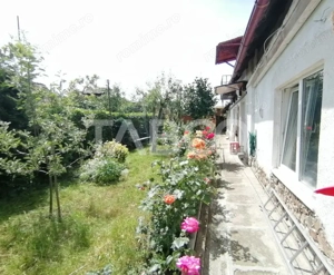 Casa in zona Centrala din Sibiu cu 6 camere garaj pivnita teren 585 mp - imagine 2