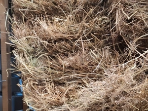 Vind baloti  lucernă 