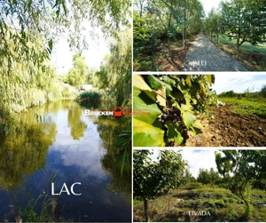 Resort termal cu potential exceptional - imagine 9