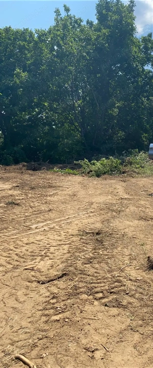 Vânzare Teren Blejoi - Prahova - imagine 2