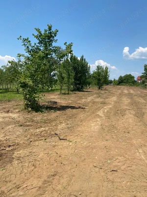 Vânzare Teren Blejoi - Prahova - imagine 4