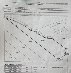 Vânzare Teren Blejoi - Prahova - imagine 5