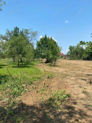 Vânzare Teren Blejoi - Prahova - imagine 3