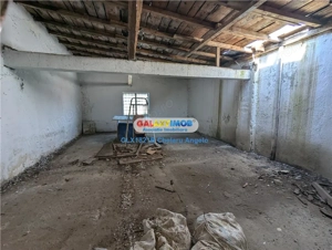 Colentina Parcul Plumbuita,  S+P+E, suprafata 1032 mp,,teren 533 m - imagine 10