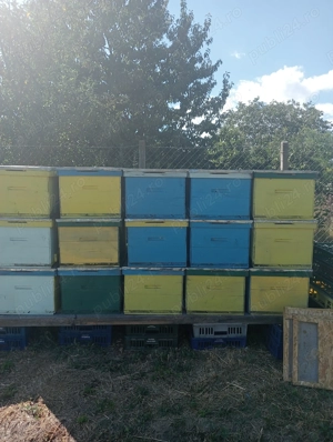 Stupii de vânzare  - imagine 2