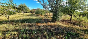 CASA CU TEREN 992 MP | SAT  SUPLACU DE TINCA | BIHOR - imagine 16