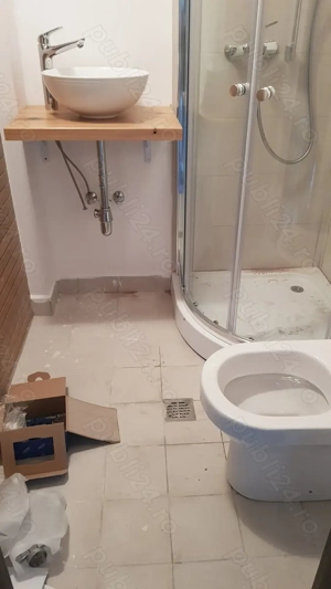 meserias zugrav faiantar - imagine 3