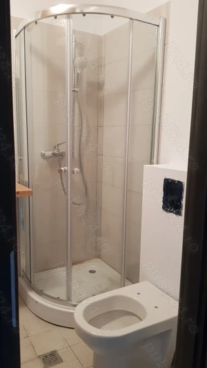 meserias zugrav faiantar - imagine 2