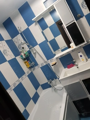 meserias faiantar zugrav - imagine 2