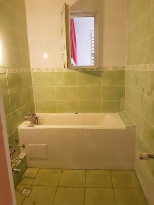 meserias faiantar zugrav - imagine 5