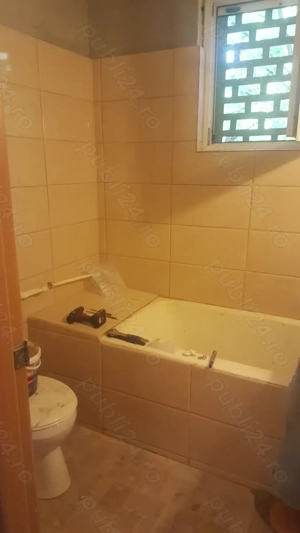 zugrav faiantar - imagine 4