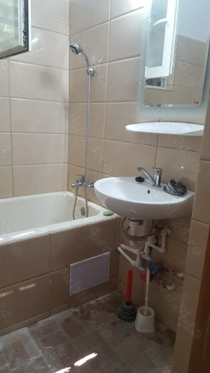 zugrav faiantar - imagine 7