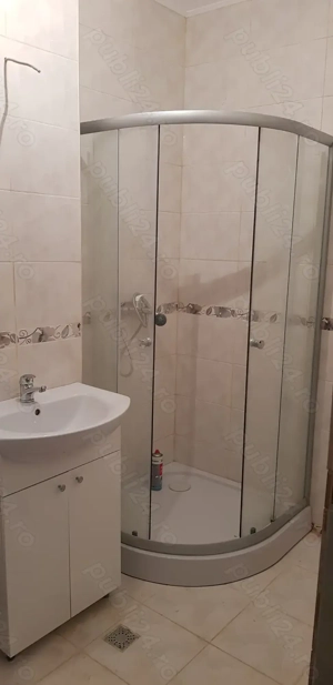 zugrav faiantar - imagine 3