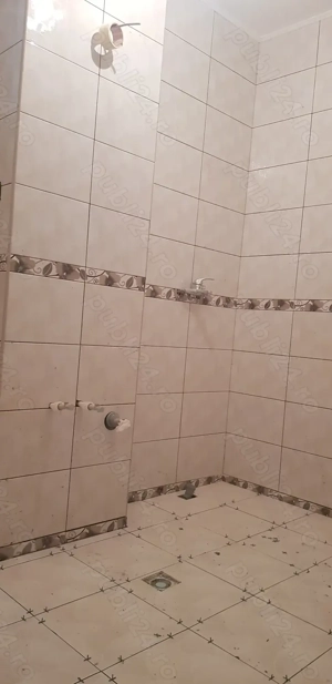 zugrav faiantar - imagine 2