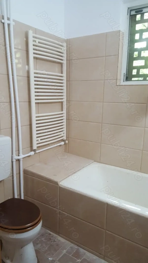 zugrav faiantar - imagine 6