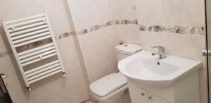 zugrav faiantar - imagine 5