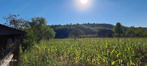  teren de vanzare - imagine 4