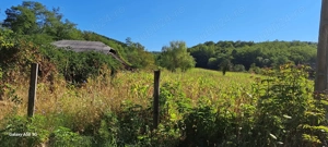  teren de vanzare - imagine 10