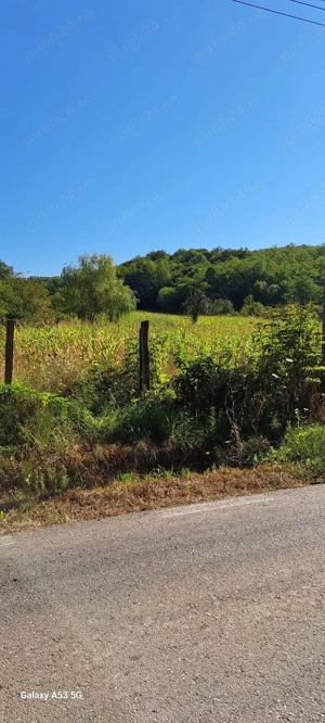  teren de vanzare - imagine 11