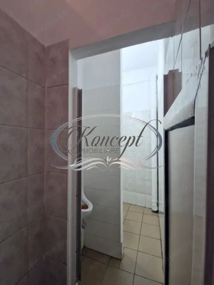 Spatiu comercial cu terasa si vitrina, Dambul Rotund - imagine 10