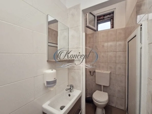 Spatiu comercial cu terasa si vitrina, Dambul Rotund - imagine 13