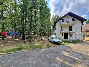 Casă de vacanță în pădure, 10 km de Pitești - Babana