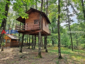 Casă de vacanță în pădure, 10 km de Pitești - Babana - imagine 6