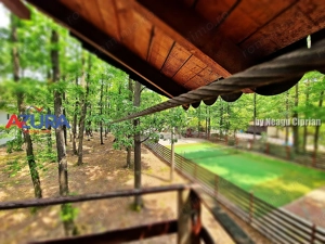 Casă de vacanță în pădure, 10 km de Pitești - Babana - imagine 7