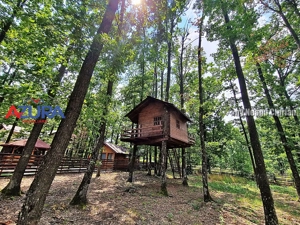 Casă de vacanță în pădure, 10 km de Pitești - Babana - imagine 16