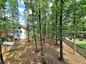 Casă de vacanță în pădure, 10 km de Pitești - Babana - imagine 20