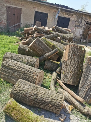 0  7  7  3  3  2  3  9  1  7  Vând lemne de esență tare