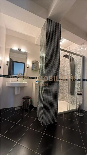 Casa de vanzare, ideala pentru locuinta si birouri, zona Parcul Regina Maria - imagine 9